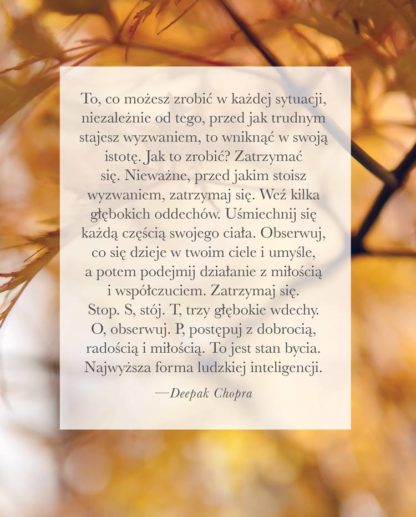 Oprah Winfrey<br> Rozmowy o Duszy<br><br><br> - Image 10
