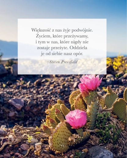 Oprah Winfrey<br> Przetarta Ścieżka<br> Odkrywanie kierunku <br> i celu Twojego życia<br> - Image 6