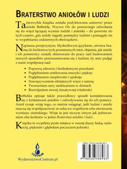 Geoffrey Hodson<br> Braterstwo <br>  aniołów i ludzi <br><br> - Image 2